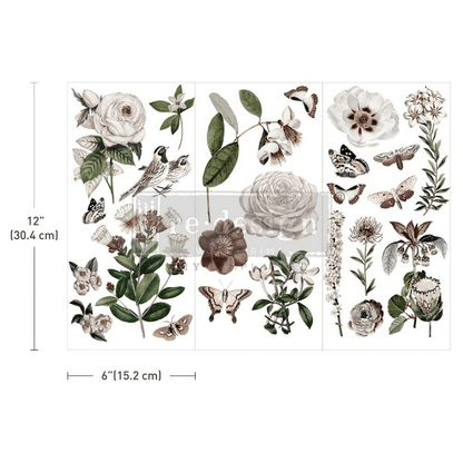 Set of botanical illustrations with flowers, leaves, and insects on a white background.